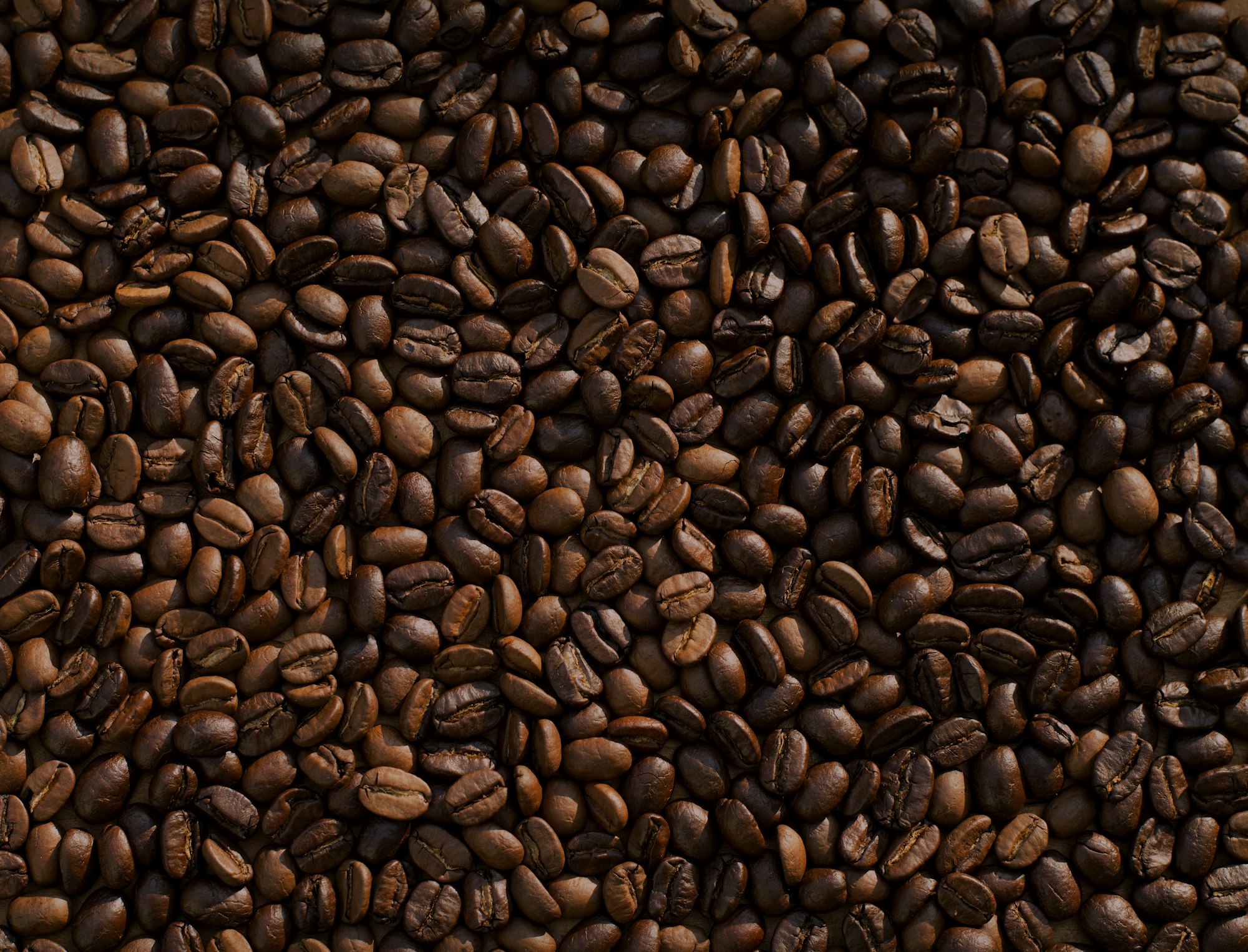 Premium Coffee Solutions