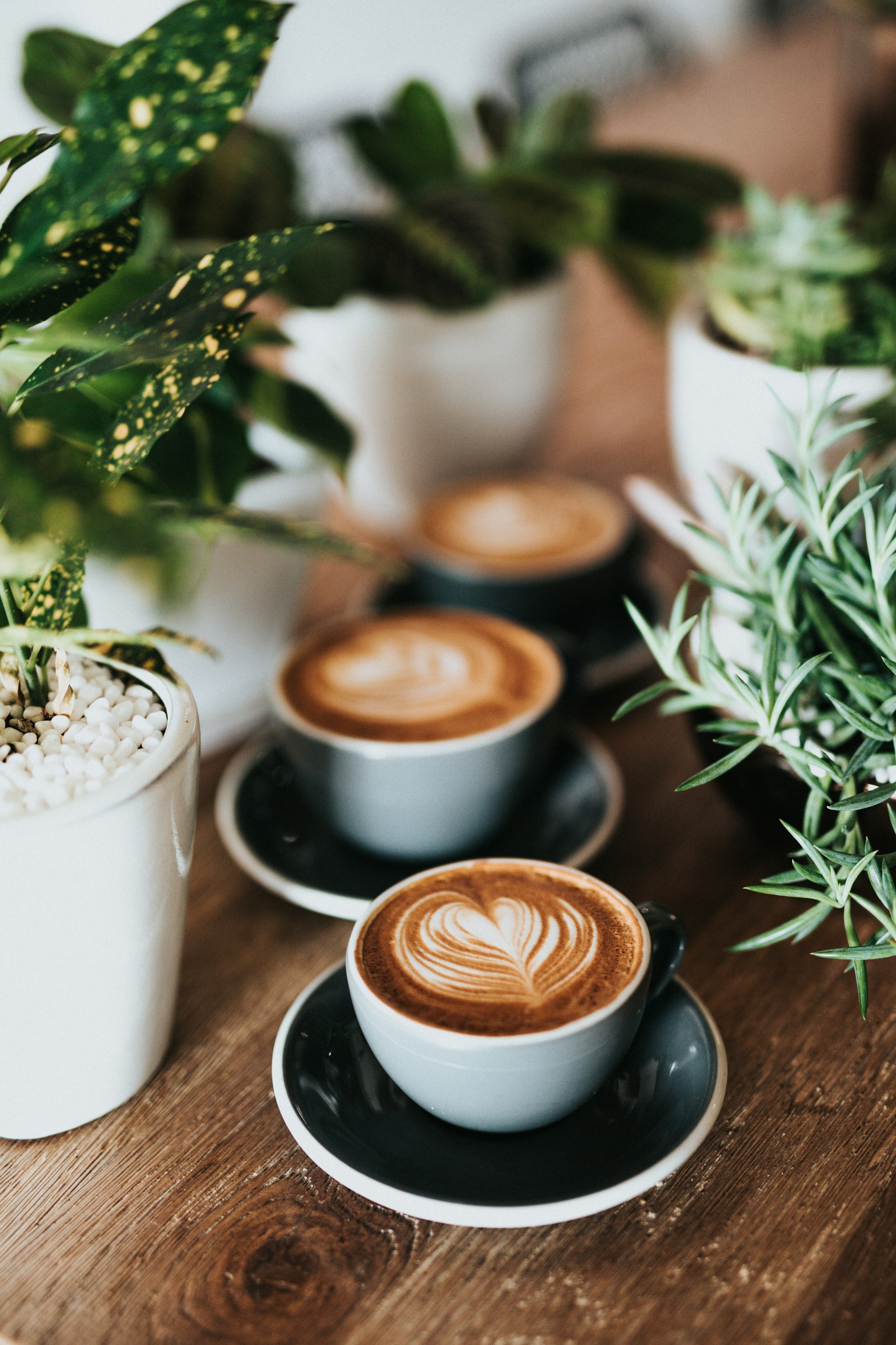 Trusted By Coffee Professionals